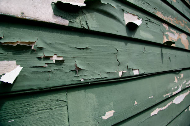 Best Siding Removal and Disposal  in Las Lomas, TX